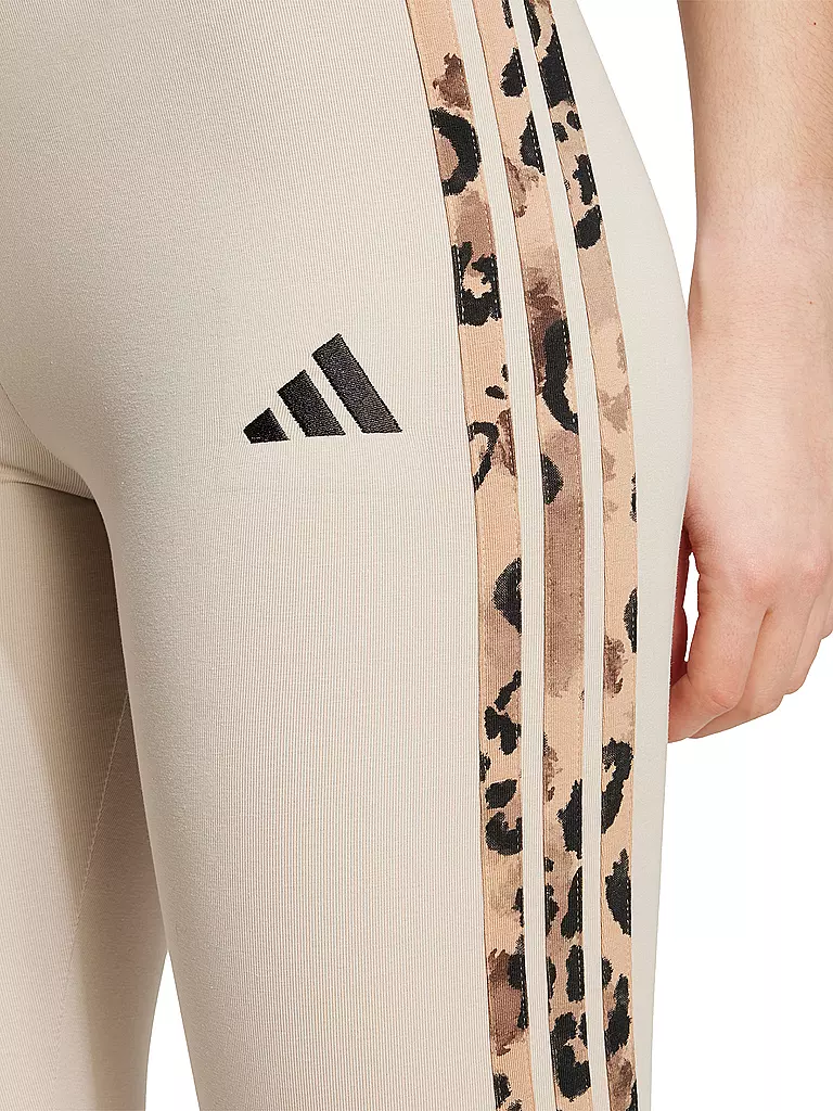 ADIDAS | Daneb Tight 3-Stripes |