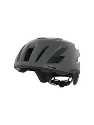 ALPINA | Casque de vélo Taunus Gravel MIPS | Gris