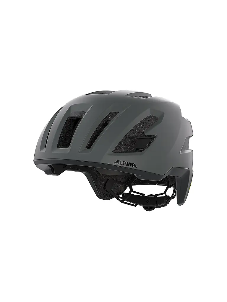 ALPINA | Casque de vélo Taunus Gravel MIPS | Gris