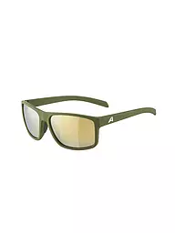 ALPINA | Herren Sportbrille Nacan I | Olive