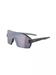 ALPINA | Lunettes de cyclisme Bonfire Mag pour hommes | Gris