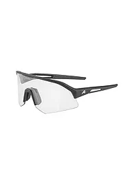ALPINA | Lunettes de cyclisme homme Sonic HR Vario | Noir