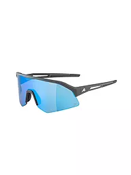 ALPINA | Lunettes de cyclisme pour homme Sonic HR Q | Gris