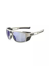 ALPINA | Lunettes de montagne pour femmes Skywalsh V | Gris