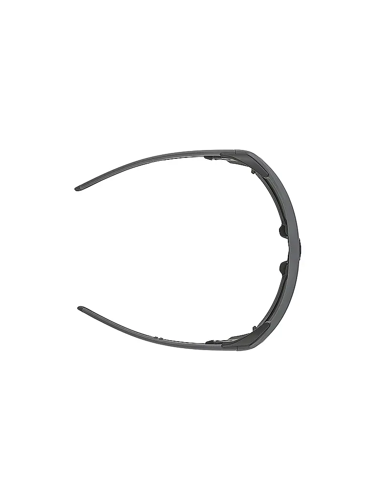 ALPINA | Lunettes de montagne Skiwalsh pour hommes | 