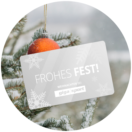 weihnachten-geschenke-geschenkkarte-themenwelten-hw23-512×512