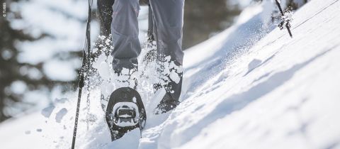 Gros plan d'une personne montant une pente en raquettes dans de la poudreuse fraîche. L'accent est mis sur les jambes et les raquettes, tandis que la neige éclabousse à chaque pas. En arrière-plan, un paysage enneigé et des arbres sont flous.