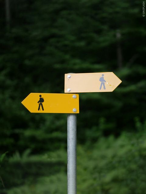 Deux panneaux indicateurs jaunes sur un poteau pointent dans des directions opposées devant un fond de forêt verte. Chaque panneau comporte une figure de randonnée indiquant différents itinéraires de randonnée.