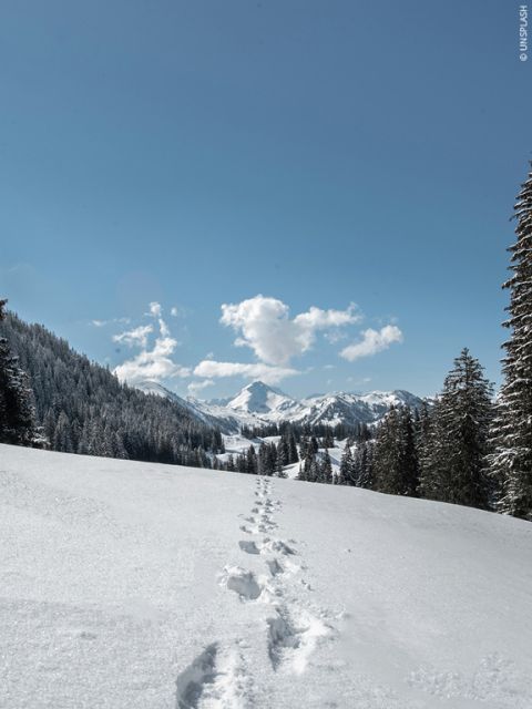 Paysage enneigé avec une chaîne de montagnes sous un ciel bleu éclatant. Des empreintes de pas serpentent dans la neige, bordées d'arbres à feuilles persistantes. Des nuages duveteux flottent au loin au-dessus des montagnes, ajoutant de la profondeur à la scène paisible.