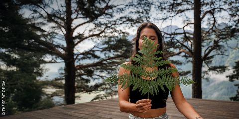Une personne à l'extérieur tient une grande feuille de fougère verte devant son visage, debout sur une plateforme en bois avec de grands arbres et des montagnes brumeuses en arrière-plan.