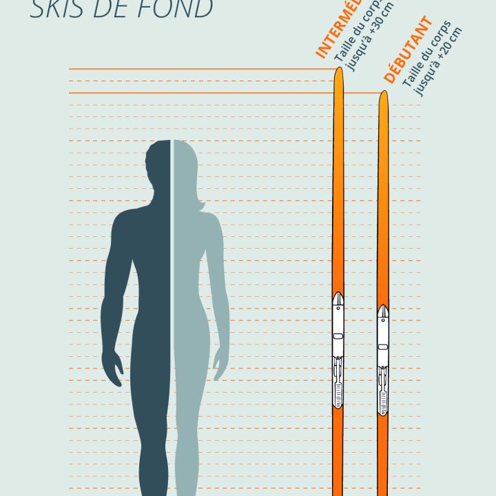 Guide des tailles illustré pour les skis de fond, avec une silhouette humaine à côté de deux skis. Le texte indique que la longueur des skis pour les débutants doit arriver au poignet, et pour les skieurs avancés, jusqu'à 20 cm au-dessus de la tête.