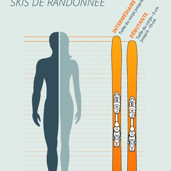 Un guide illustré des tailles pour les skis de randonnée montre une silhouette humaine à côté de deux skis. Il explique que les débutants devraient choisir des skis de la même taille que leur corps, tandis que les skieurs avancés devraient choisir des skis de 5 à 10 cm plus courts que leur taille.