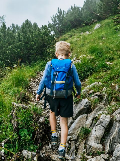 Un garçon avec un sac à dos bleu randonne sur un sentier de montagne rocheux et verdoyant, entouré d'herbe et d'arbres.