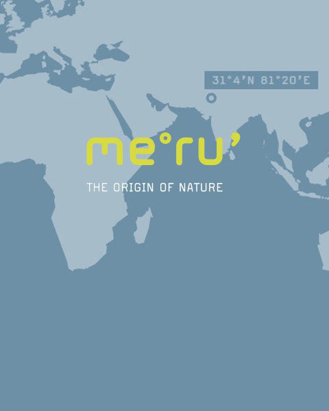 Carte minimaliste montrant une partie de l'Asie et de l'Afrique, avec le texte « me°ru' The Origin of Nature » et les coordonnées 31°4'N 81°20'E dans l'océan Indien.