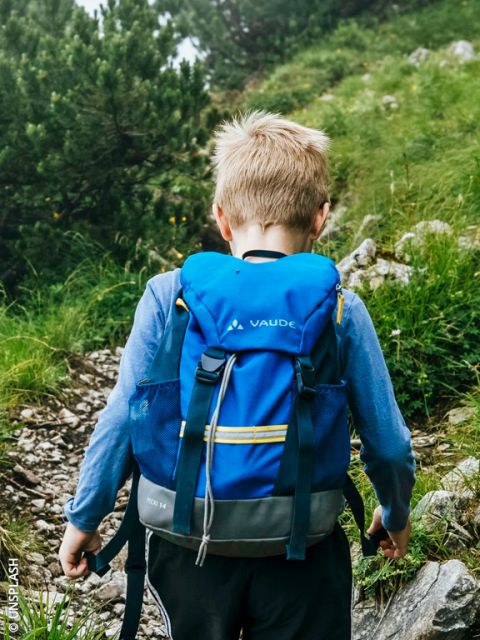 Un enfant avec un sac à dos bleu monte un sentier de montagne rocheux et herbeux, entouré d'arbustes et d'arbres verts.