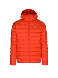 ARCTERYX | Isojacke Cerium Hoodie pour hommes | Rouge