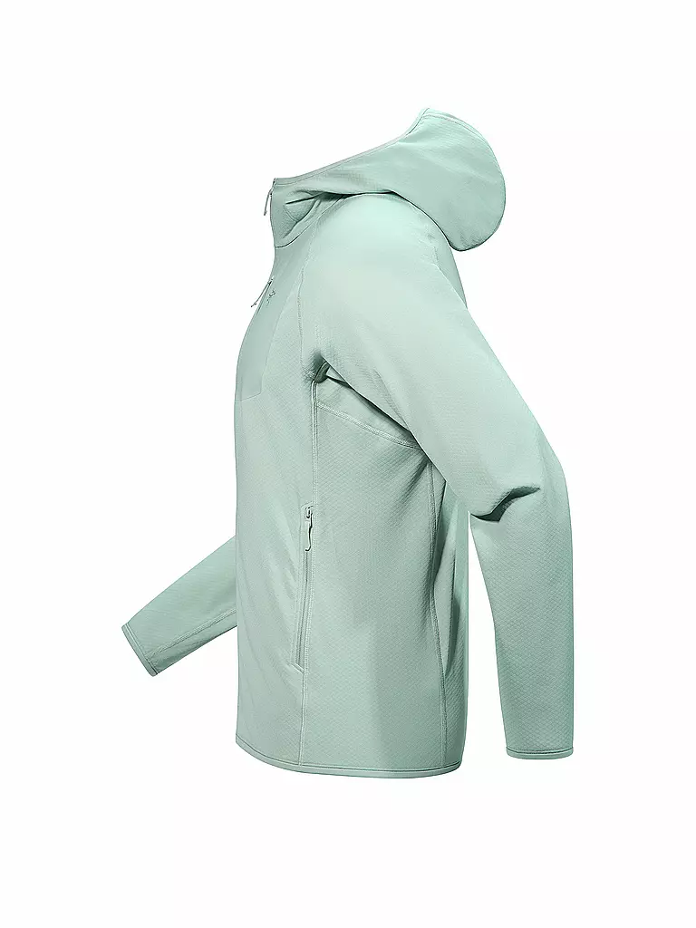 ARCTERYX | Veste polaire à capuche Delta pour homme |