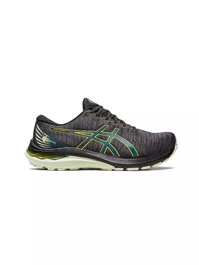 ASICS | Herren Laufschuhe GT-2000™ 11 GTX | Noir