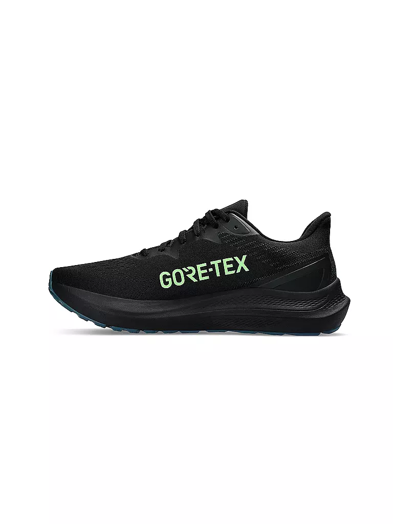 ASICS | Herren Laufschuhe GT-2000 12 GTX | Noir