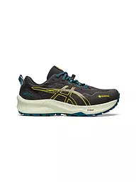 ASICS | Herren Traillaufschuhe Gel-Trabuco 11 GTX | Noir