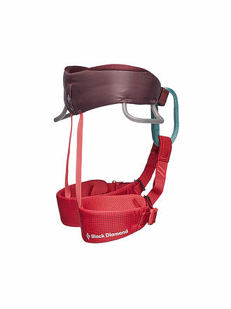 BLACK DIAMOND | Harnais d'escalade Momentum pour enfants