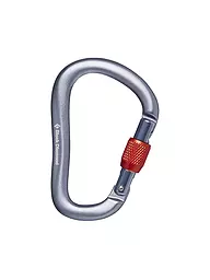 BLACK DIAMOND | Karabiner Rocklock Screwgate | Gris