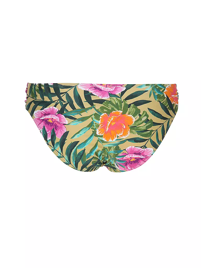 DARLING HARBOUR | Culotte de bikini hipster pour femmes | Vert