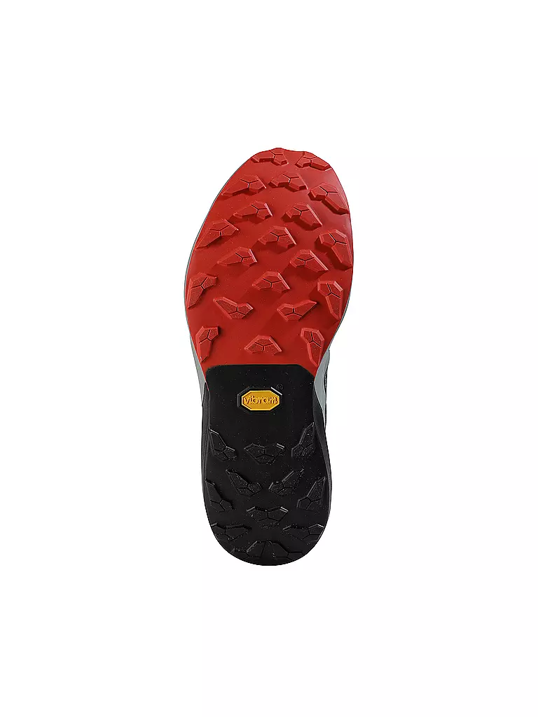 DYNAFIT | Chaussures de trail Alpine Pro2 pour hommes |