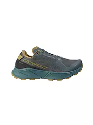 DYNAFIT | Chaussures de trail homme Ultra 100 GTX | Bleu