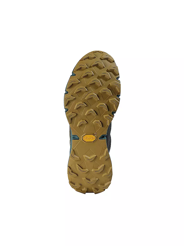 DYNAFIT | Chaussures de trail homme Ultra 100 GTX | Bleu