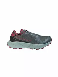 DYNAFIT | Damen Traillaufschuhe Ultra 100 GTX | Bleu