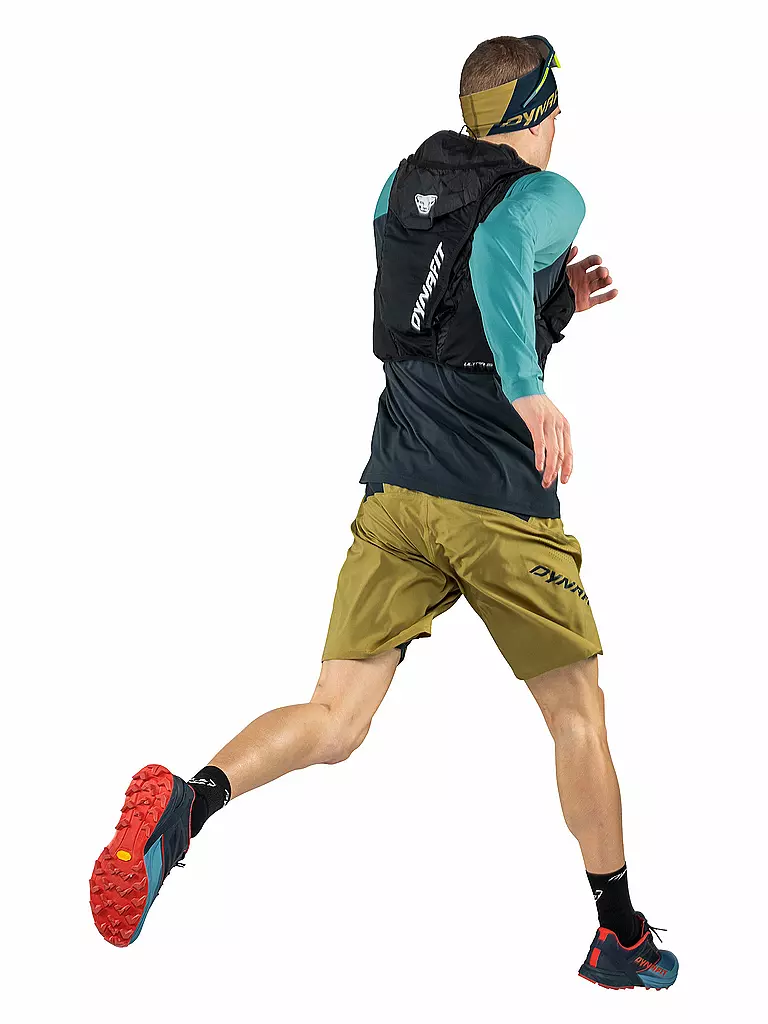 DYNAFIT | Herren Traillaufschuhe Alpine | Bleu