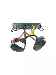 EDELRID | Harnais d'escalade pour femmes Jayne III | Rose