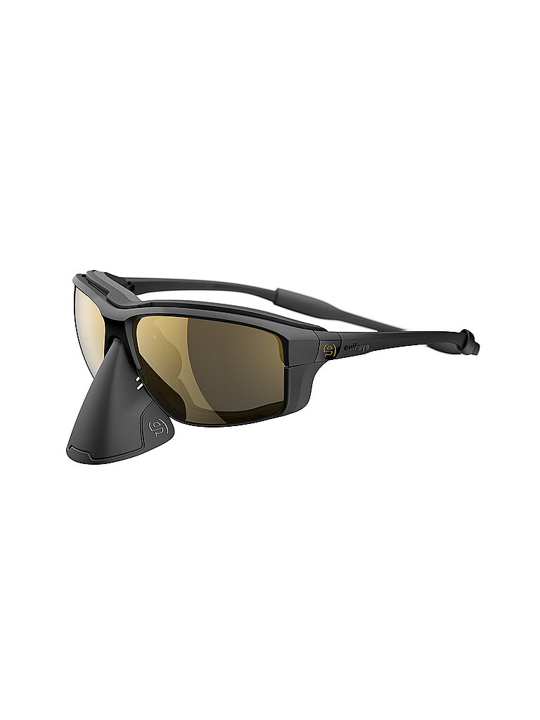 Lunettes de montagnes Elate.O Pro LST noir