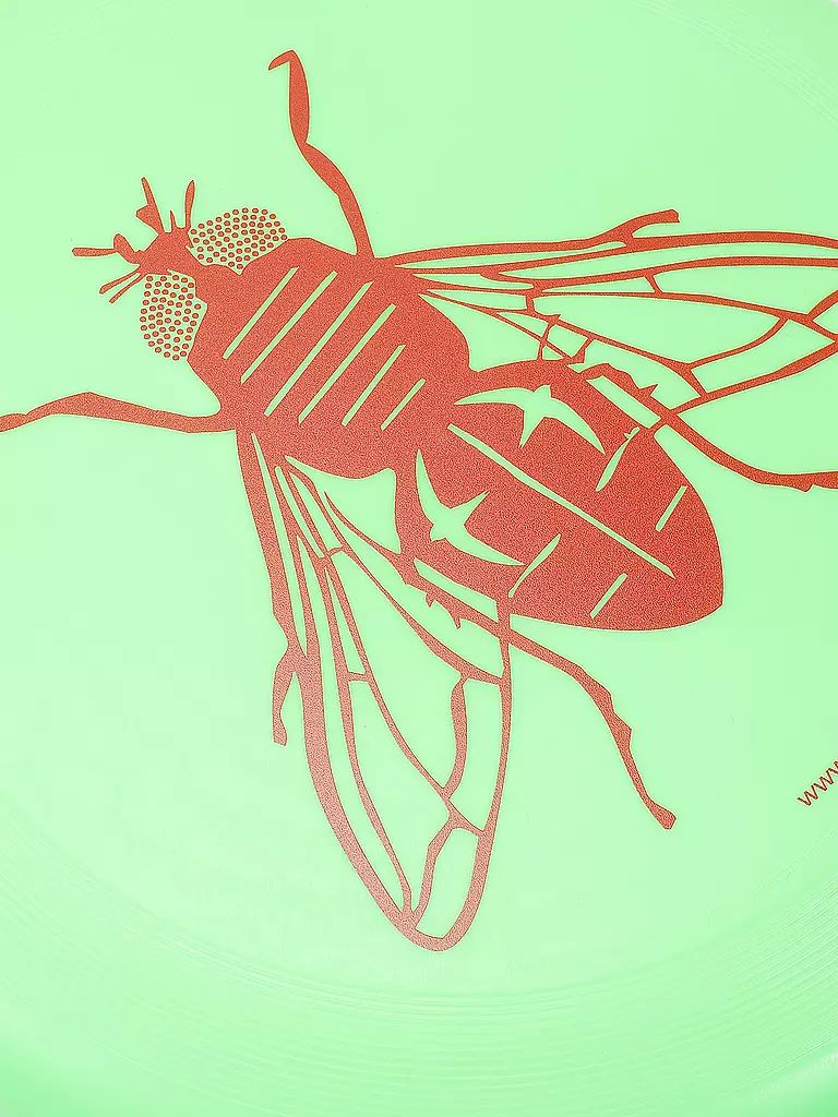 FLY IN DANGER | Frisbee Sport Disc Fly | Vert