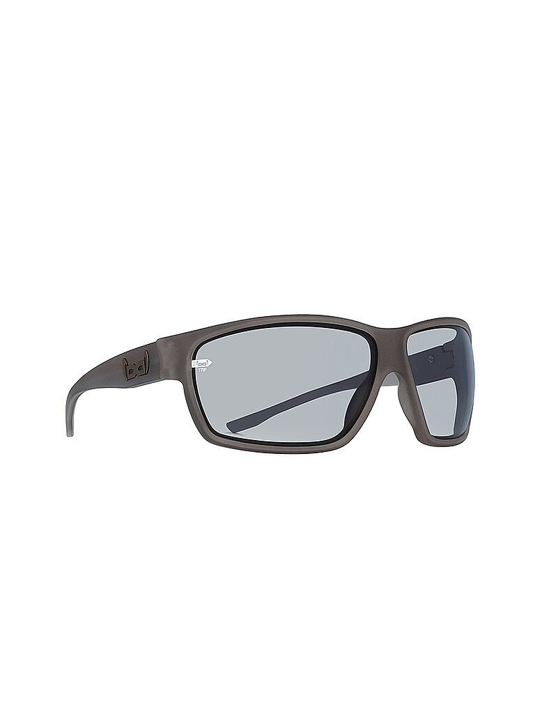Lunettes de montagnes G15 All Mountain Transformer F1-F3 gris