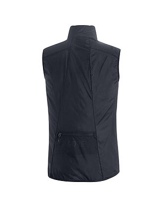 GOREWEAR | Veste de course pour homme Drive GORE-TEX INFINIUM
