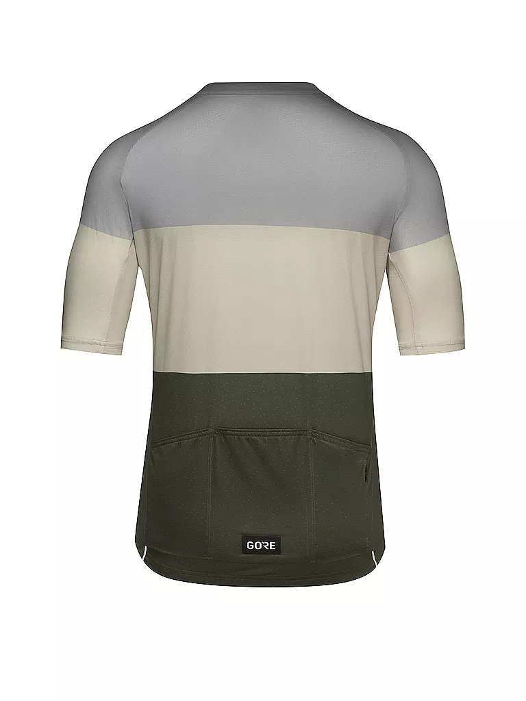 GOREWEAR | Herren Radtrikot Spirit Stripes | Gris clair