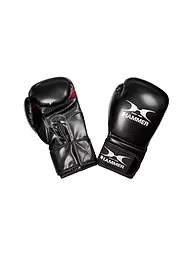 HAMMER | Gants de boxe X-SHOCK | Noir