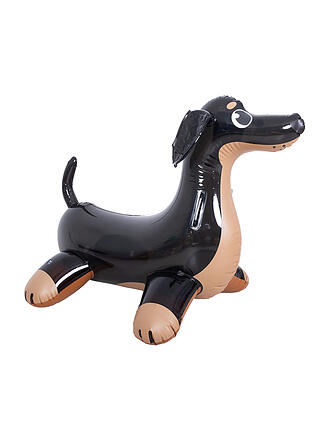 HAPPY PEOPLE | Dachshund à chevaucher