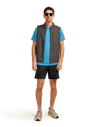 ICEBREAKER | T-shirt de sport pour homme 150 Tech Lite Range Stripes