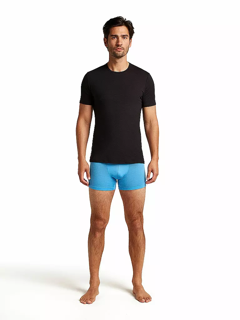 ICEBREAKER | Herren Boxershort Anatomica 125 Cool |