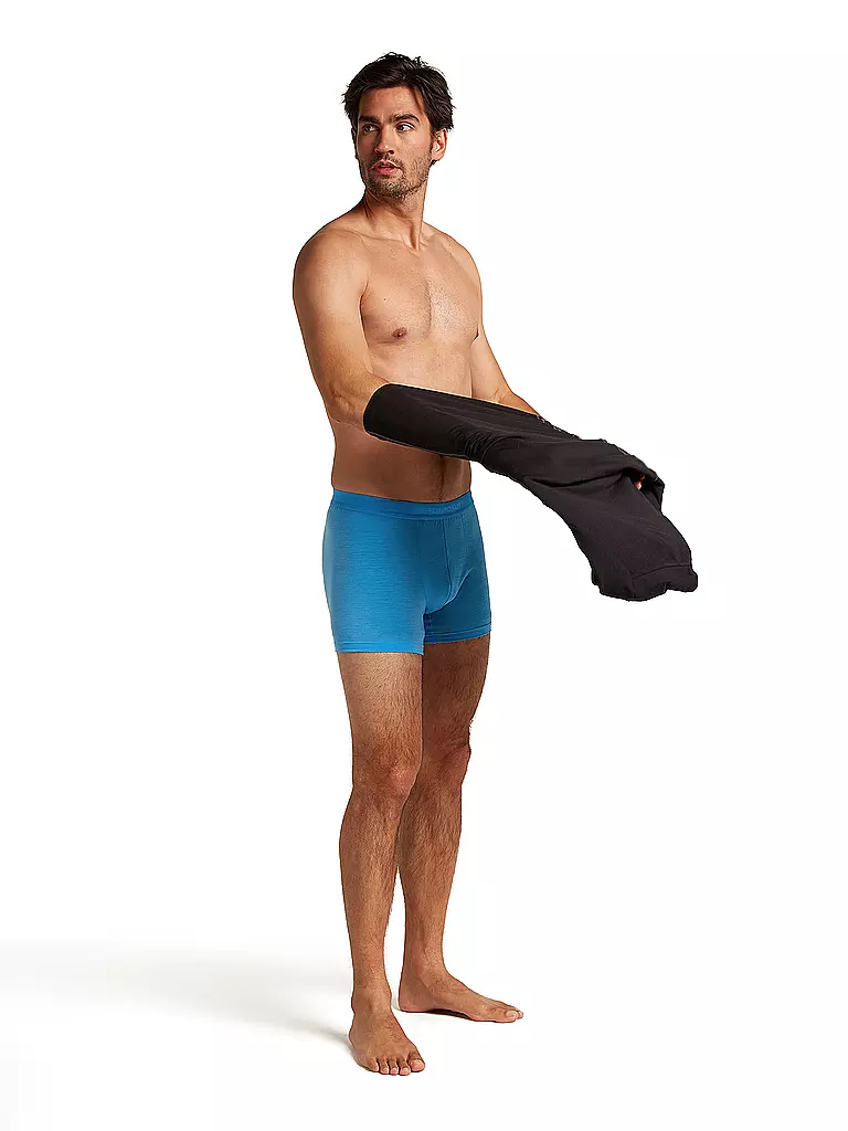 ICEBREAKER | Herren Boxershort Anatomica 125 Cool |