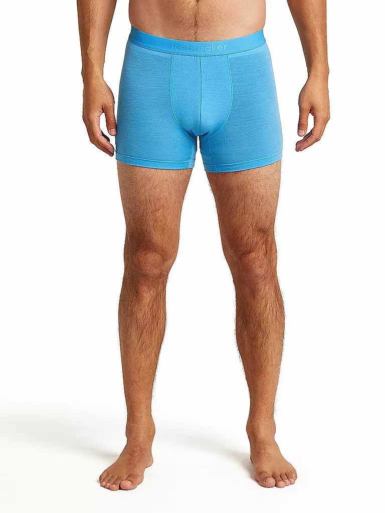 ICEBREAKER | Herren Boxershort Anatomica 125 Cool |