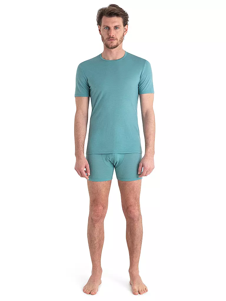 ICEBREAKER | Herren Funktionsshirt Anatomica Crewe BF 150 | Pétrole