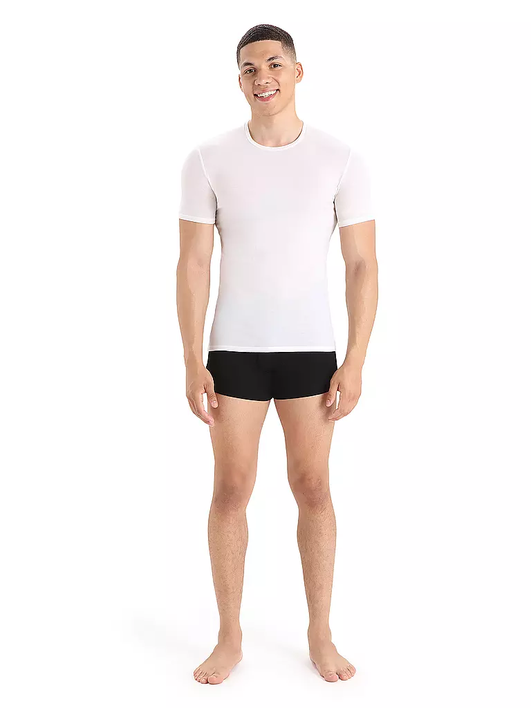 ICEBREAKER | Herren Funktionsshirt Anatomica Crewe BF 150 | Blanc