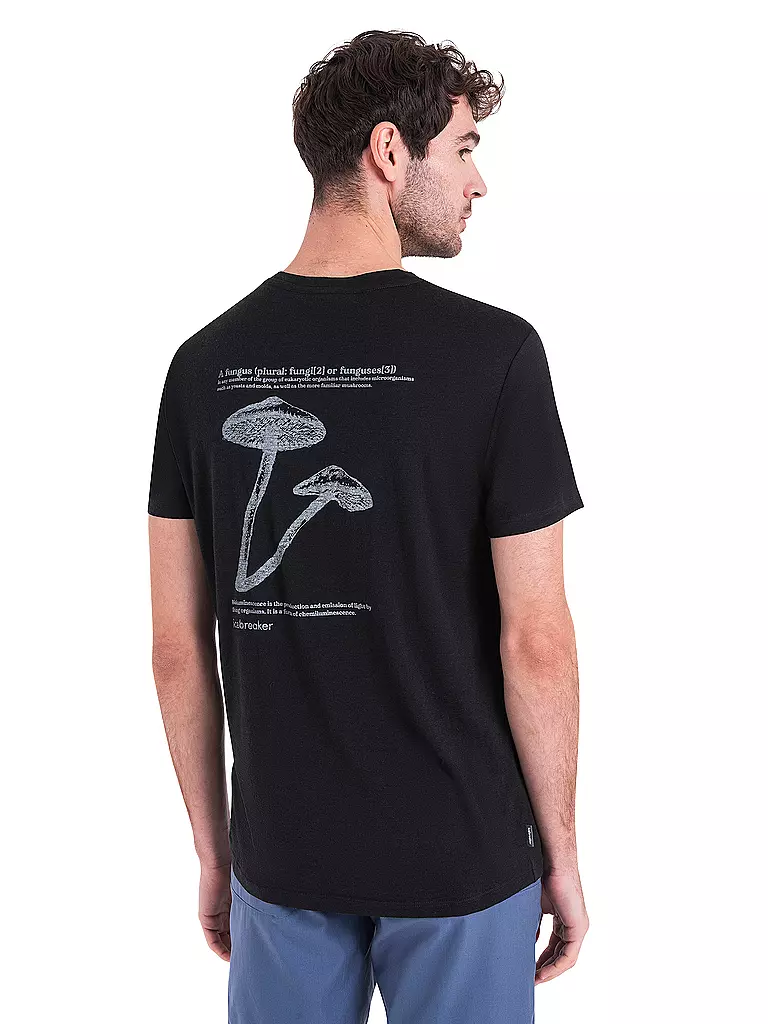 ICEBREAKER | Herren Funktionsshirt Lumi 150 Tech Lite3 | Noir