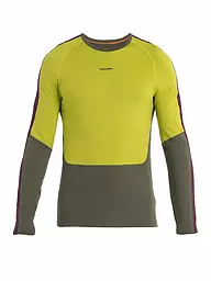 ICEBREAKER | Herren Funktionsshirt Merino 200 Sonebula | Olive