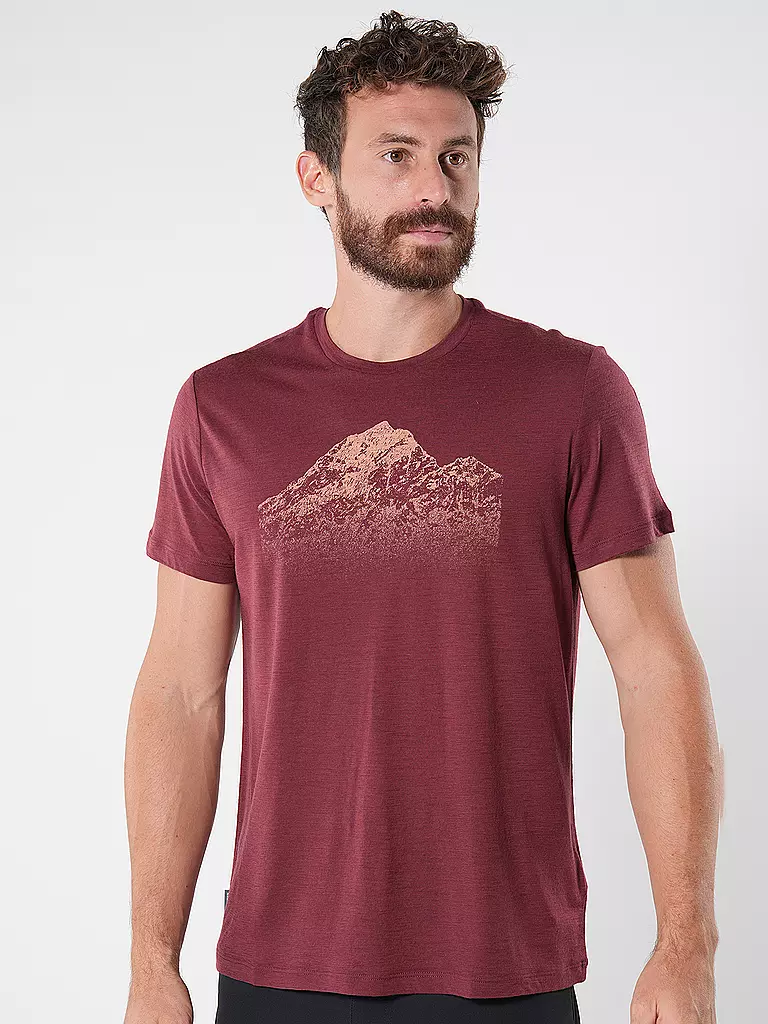 ICEBREAKER | Herren Funktionsshirt Mount Tech Lite | Rouge foncé