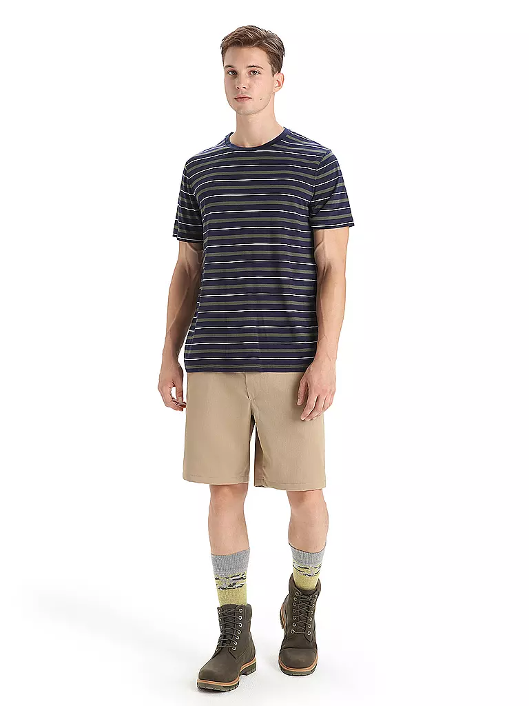 ICEBREAKER | T-shirt de sport à rayures Wave pour homme |